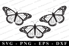 Butterfllies Svg | Svg Cut Files | Cricut Product Image 1