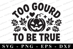 Too Gourd to Be True Svg | Halloween Svg | Cricut Product Image 1