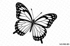 Butterfly Svg Design | Svg Cut Files | Digital Download Product Image 1