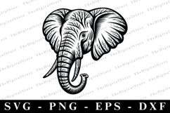 Elephant SVG | SVG Cut files | Cricut Product Image 1