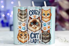 Crazy Cat Lady Tumbler Wrap Sublimation, 20oz Tumbler Wrap Product Image 1