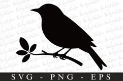 Bird Svg, Flying Bird, Files for Cricut Product Image 1