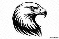 Eagle Svg Design | Svg Cut Files | Cricut Product Image 1
