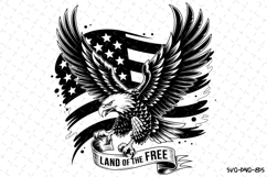 USA Eagle Svg Design | Svg Cut Files | Cricut Product Image 1