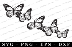 Butterfly Svg | Svg cut file | Cricut Product Image 1
