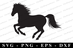 Horse Svg | Svg Cut Files | Cricut Product Image 1