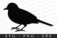 Bird Svg, Flying Bird, Files for Cricut Product Image 1
