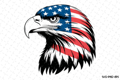 USA Eagle Svg Design | Svg Cut Files | Cricut Product Image 1