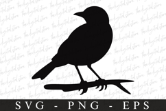 Bird Svg, Flying Bird, Files for Cricut Product Image 1