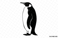 Penguin Svg Design | Svg Cut Files | Digital Download Product Image 1