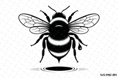 Bee Svg Design | Svg Cut Files | Digital Download Product Image 1