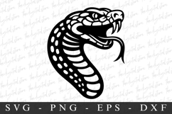 Snake SVG | SVG Cut files | Cricut Product Image 1