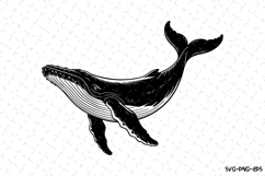 Whale Svg Design | Svg Cut Files | Digital Download Product Image 1