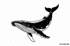 Whale Svg Design | Svg Cut Files | Digital Download Product Image 1