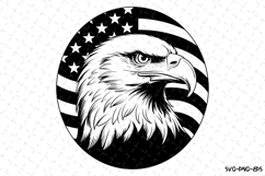USA Eagle Svg Design | Svg Cut Files | Cricut Product Image 1