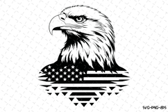 USA Eagle Svg Design | Svg Cut Files | Cricut Product Image 1