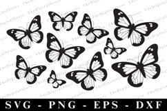 Butterfllies Svg | Svg Cut Files | Cricut Product Image 1