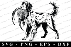 Croc Shoe SVG | SVG Cut files | Cricut Product Image 1