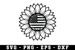 American Flag USA Svg, 2nd Amendment Svg Product Image 1