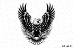 USA Eagle Svg Design | Svg Cut Files | Cricut Product Image 1
