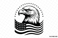 USA Eagle Svg Design | Svg Cut Files | Cricut Product Image 1