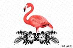Flamingo Svg Design | Svg Cut Files | Digital Download Product Image 1