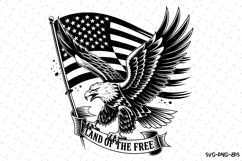 USA Eagle Svg Design | Svg Cut Files | Cricut Product Image 1