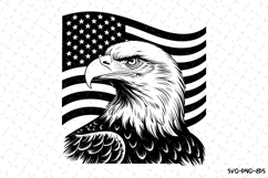USA Eagle Svg Design | Svg Cut Files | Cricut Product Image 1