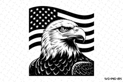 USA Eagle Svg Design | Svg Cut Files | Cricut Product Image 1