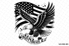 USA Eagle Svg Design | Svg Cut Files | Cricut Product Image 1