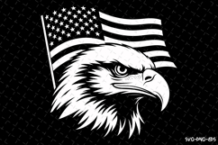 USA Eagle Svg Design | Svg Cut Files | Cricut Product Image 1