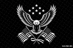 USA Eagle Svg Design | Svg Cut Files | Cricut Product Image 1