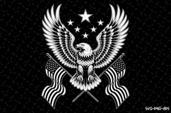 USA Eagle Svg Design | Svg Cut Files | Cricut Product Image 1