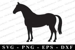 Horse Svg | Svg Cut Files | Cricut Product Image 1