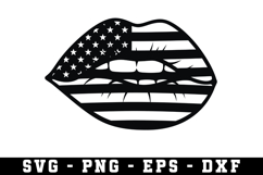 American Flag USA Svg, 2nd Amendment Svg Product Image 1