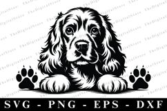 Cocker Spaniel SVG | SVG Cut files | Cricut Product Image 1