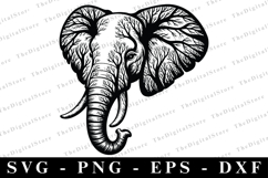 Elephant SVG | SVG Cut files | Cricut Product Image 1