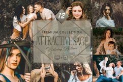 12 Attractive Sage Photoshop Actions, Spring ACR Preset, Product Image 1