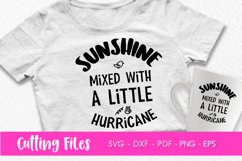 Sarcastic Quotes Cutting Files - SVG, DFX, EPS Product Image 8