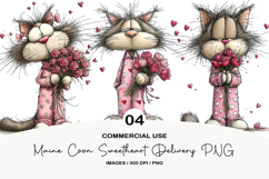 Maine Coon Sweetheart Delivery PNG Product Image 1