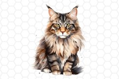 Maine Coon Watercolor Cat Clipart Cat Sublimation PNG