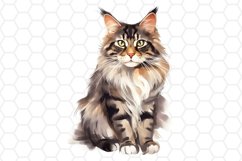 Maine Coon Watercolor Cat Clipart Cat Sublimation PNG