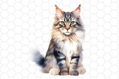 Maine Coon Watercolor Cat Clipart Cat Sublimation PNG