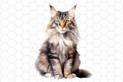 Maine Coon Watercolor Cat Clipart Cat Sublimation PNG