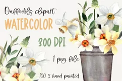 Watercolor spring flower clipart. Daffodils PNG sublimation Product Image 1