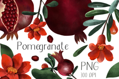 Hand Painted Pomegranate Botanical Clipart Set PNG Product Image 1