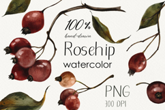 Hand Painted Rosehip Watercolor PNG Clipart Set Product Image 1