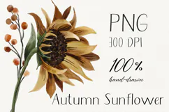 Watercolor sunflower and berries in autumn tones Product Image 1