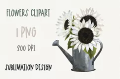 White Sunflower Sublimation design PNG|Flower Garden clipart Product Image 1