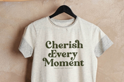 Majesty Regilast Modern Serif Product Image 5